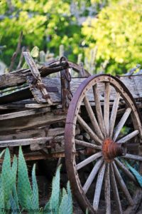 Cactus Wagon