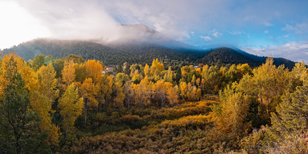 colorful aspens on the Atalaya mountain trail in Santa Fe in the fall