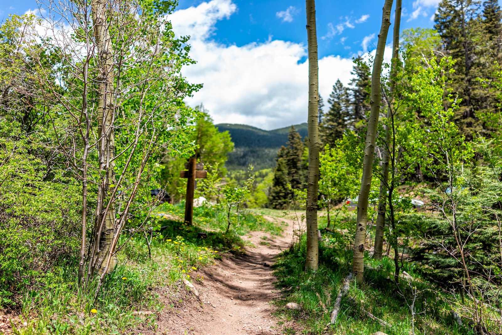 Santa Fe Hiking Trails: The Complete Guide to Local Favorites 1 One of the Santa Fe hiking trails with sign entrance at trailhead Sangre de Cristo mountains and green aspen trees by parking lot.