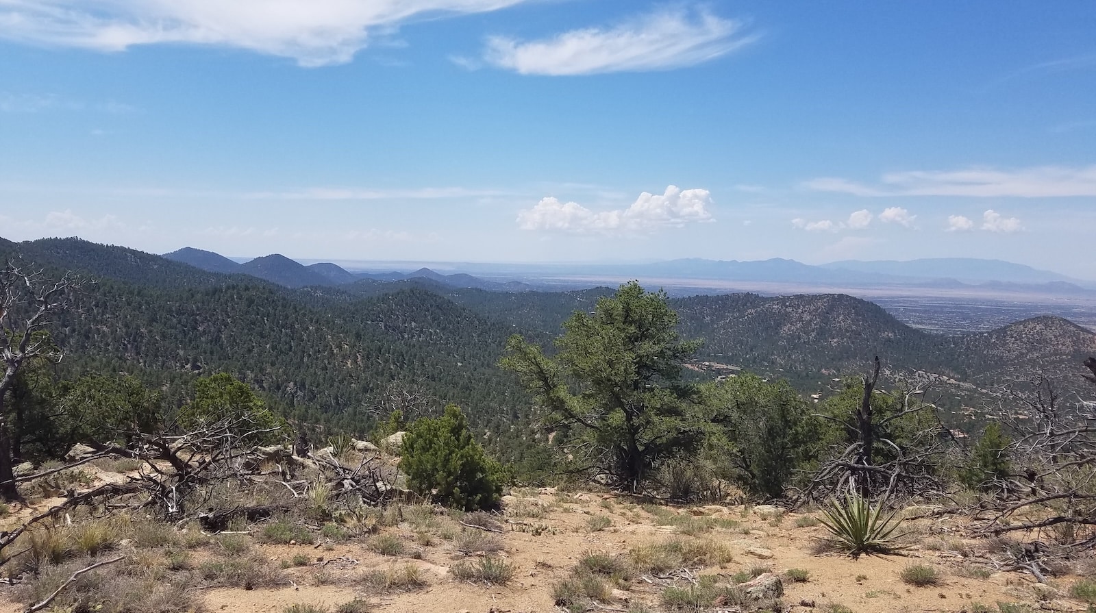 View from one of the Santa Fe hiking trails, the Atalaya Mountain Trail, with trees, mountains, and a blue sky.