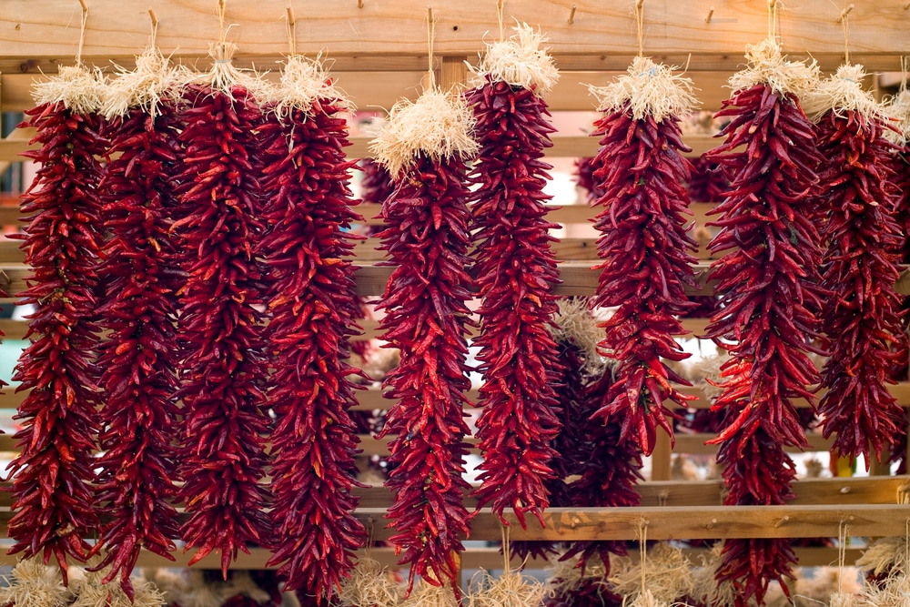 Santa Fe Spanish Market