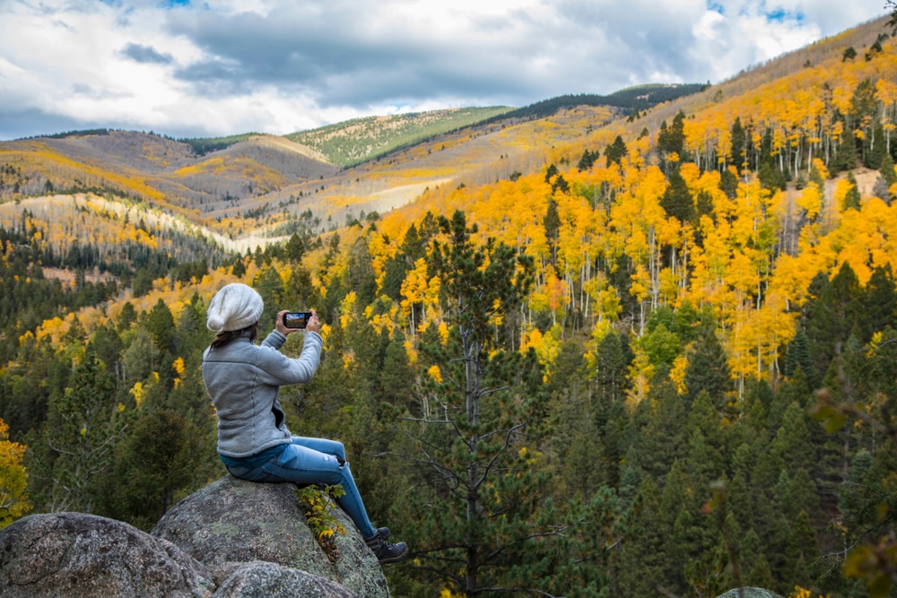 Woman taking a photo of the yellow aspens on one of the best fall Santa Fe hiking trails