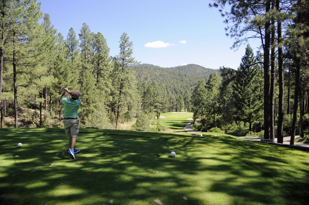 Beautiful forest views from one of the Santa Fe golf courses