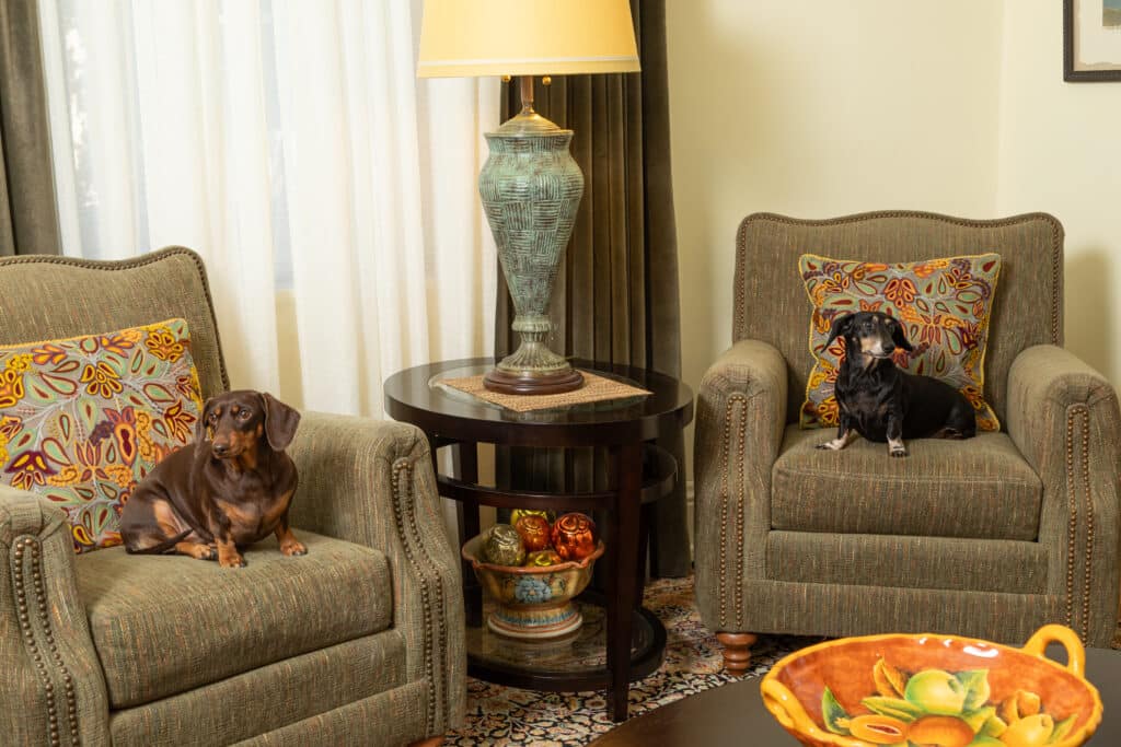 The Best Place to Stay in Santa Fe With Your Dogs! 4