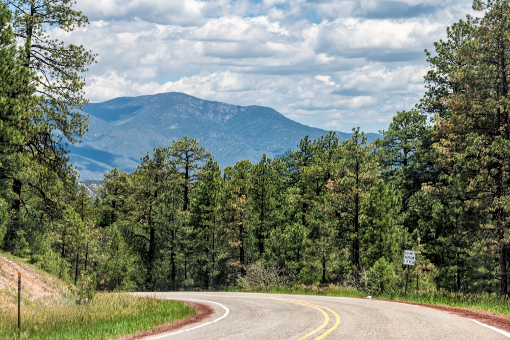 Road through the Carson National Forest while driving on the High Road from Santa Fe to Taos
